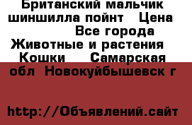 Британский мальчик шиншилла-пойнт › Цена ­ 5 000 - Все города Животные и растения » Кошки   . Самарская обл.,Новокуйбышевск г.